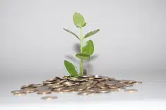 In advancing the sustainable finance agenda, financial institutions should focus on three key areas: processes, technology, and people.