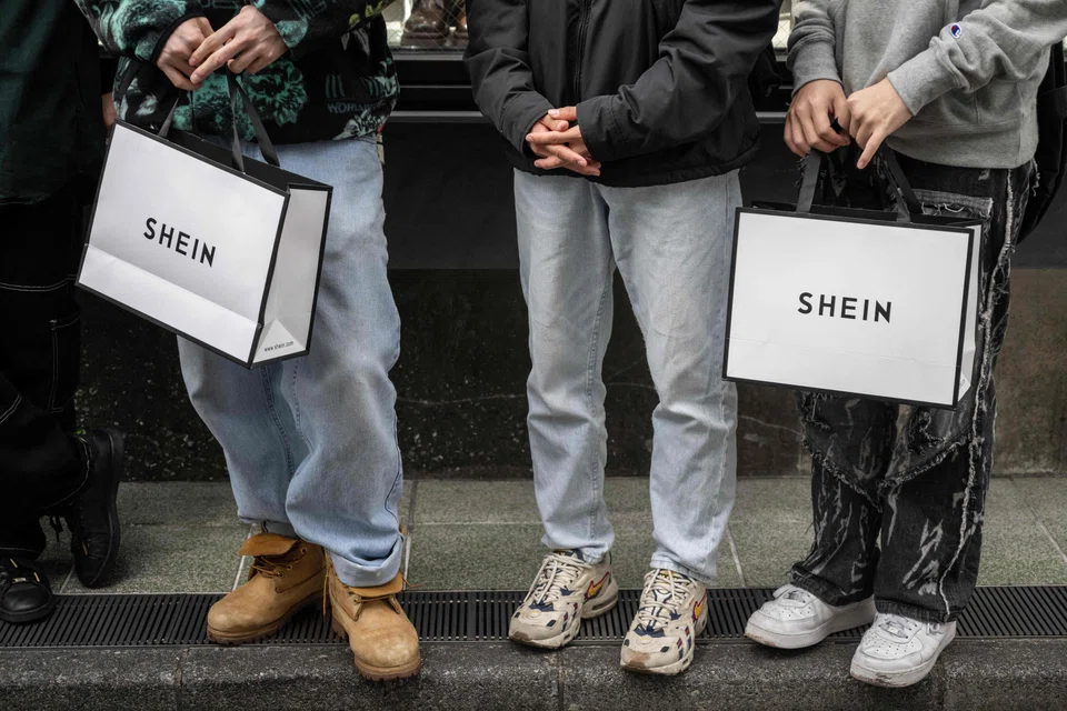 Shein has successfully penetrated a global market that spans over 150 countries, but concerns have been raised about its business practices and ethics.