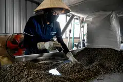 Amro calls for more vigilant monitoring of unlisted MSMEs in raw materials and manufacturing, which have relatively higher levels of debt-at-risk.