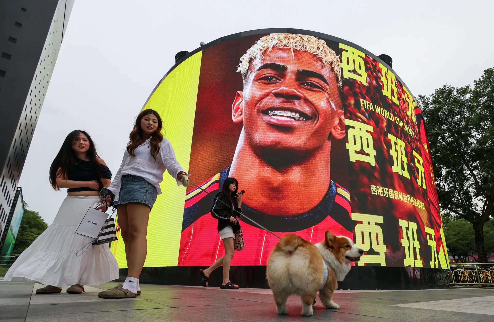 Financial astrology: Is the STI really hoping for Spain to win the World Cup