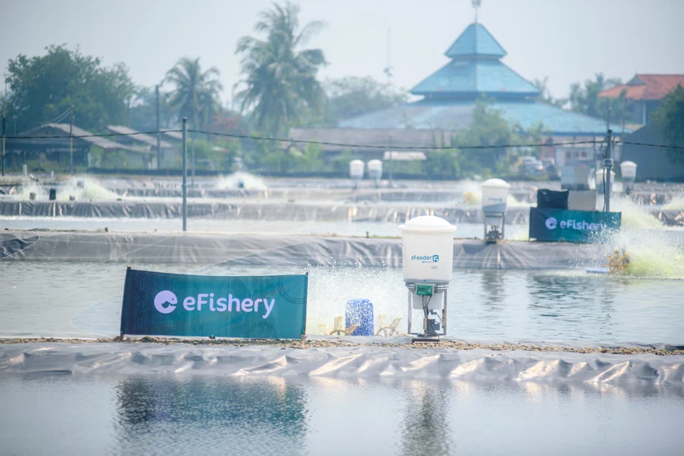 The eFishery scandal is still in the early stages of investigation.