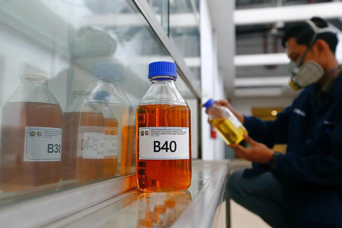 Indonesia brought the case to the WTO dispute body in 2019 after the EU decided that palm oil-based diesel would not be considered a biofuel.