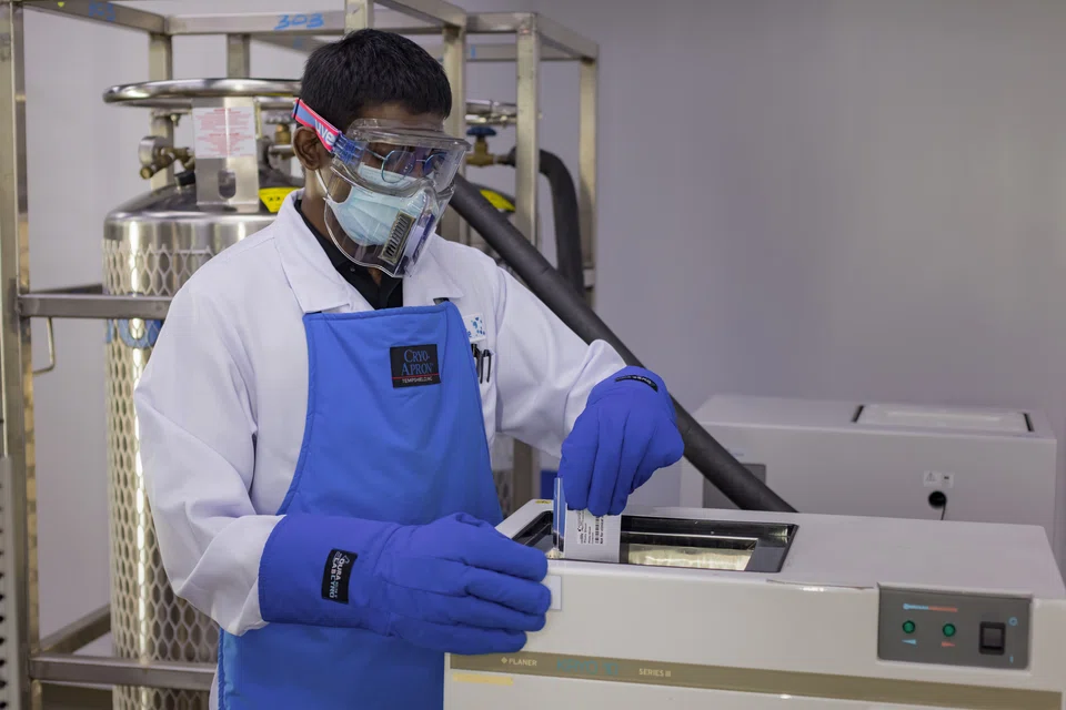 Though Cordlife expects an improvement in the revenue stream of its Singapore business with the full resumption of its operations since Jan 14, it says that the pace of its recovery for FY2025 remains uncertain.