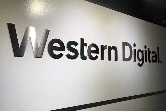 Western Digital is the third-highest percentage gainers this year on the S&P 500.