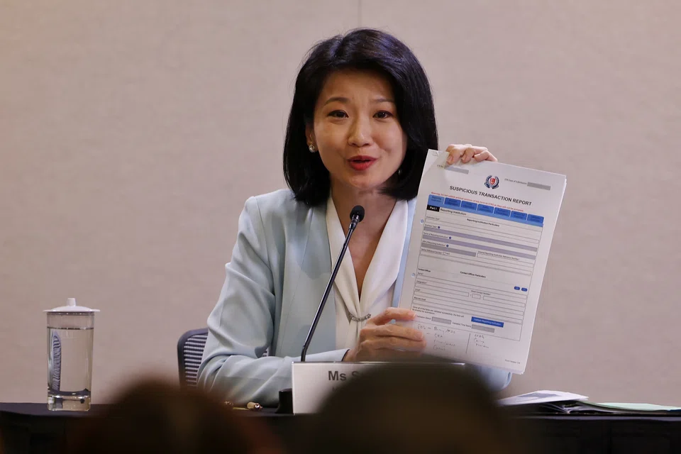 Sun Xueling, Minister of State for Home Affairs, says that  the government will inform dealers of what risks to watch for and how to file timely suspicious transaction reports.