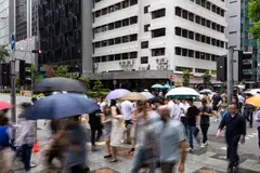 Blending permanent teams with freelance, contract or remote talent gives organisations the agility to respond to market shifts, access specialised skills and control costs more effectively.