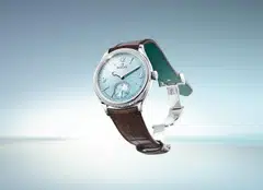 Perpetual 1908 in Platinum

