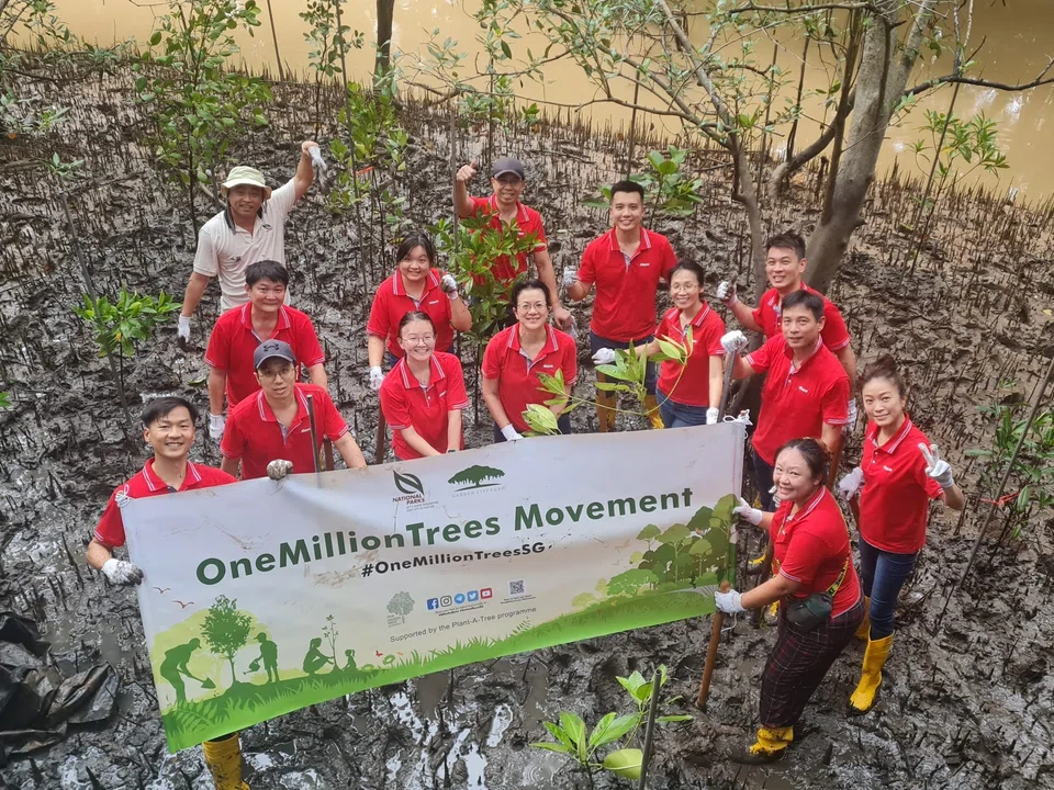 Keppel employees planting saplings as part of the One Million Trees movement by National Parks Board.