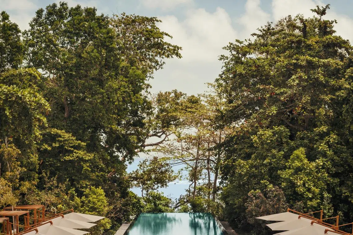 A favourite of affluent tourists, the resort offered private plunge pool suites, a 50-metre infinity pool and a beach club by Cure’s Michelin-starred chef Andrew Walsh.