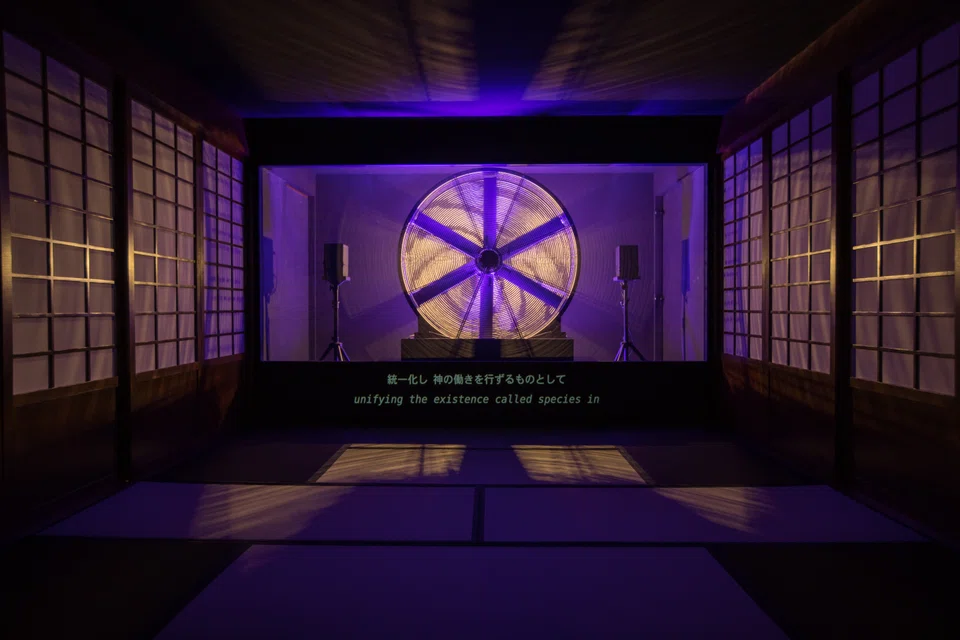 Ho Tzu Nyen's Hotel Aporia comprises several rooms off a long corridor, each showing a different film.