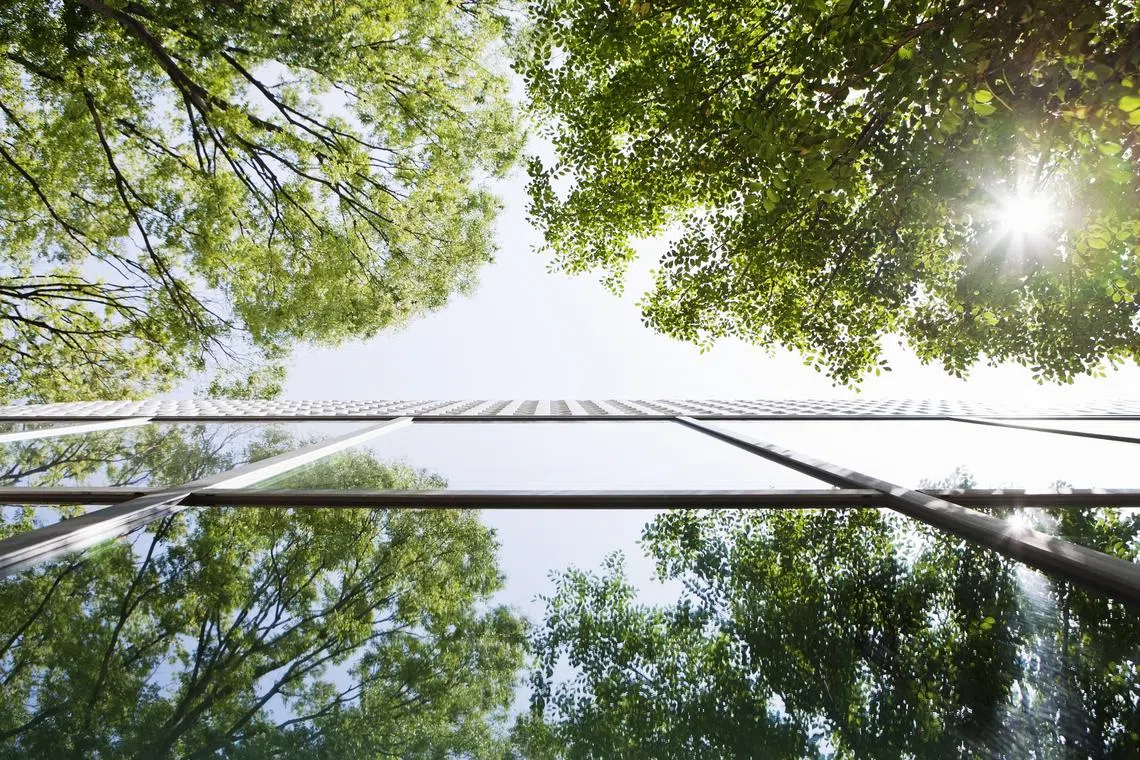 Glass-walled building reflecting trees. Close to half of Singapore’s buildings have been retrofitted with green roofs, edible gardens, recreational rooftop gardens, and verdant green walls, leading up to the national target of greening 80 per cent of its buildings by 2030. 