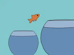 For an SME to grow, it must have a vision – and the people who need to be visionary are the owners. 