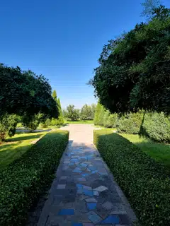 The beautifully manicured lawns of Grace Vineyard.