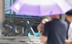 Some of the best performers in the Singapore market so far this year have been the small and mid-caps.