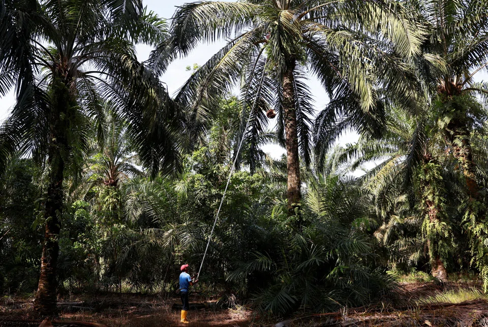 The suspects are alleged to have classified exports of crude palm oil as byproducts of crude palm oil between 2020 and 2024, with losses to the state estimated at between 10.6 trillion rupiah (S$796 million) and 14.3 trillion rupiah (S$1.07 billion).