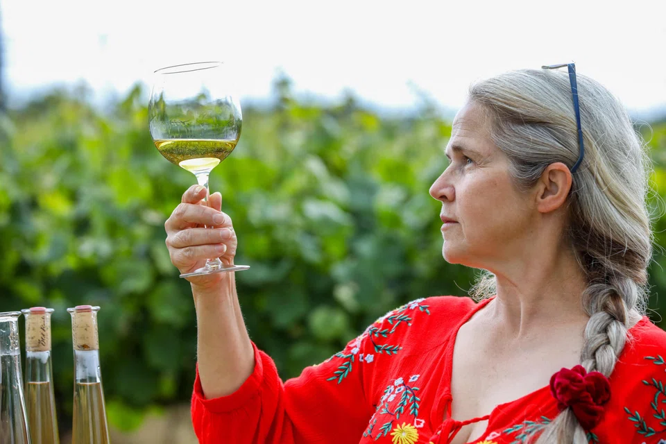 Hernandez’s vineyard lies near the village of Wellingtonbridge in the south-eastern coastal county of Wexford, statistically Ireland’s sunniest corner.