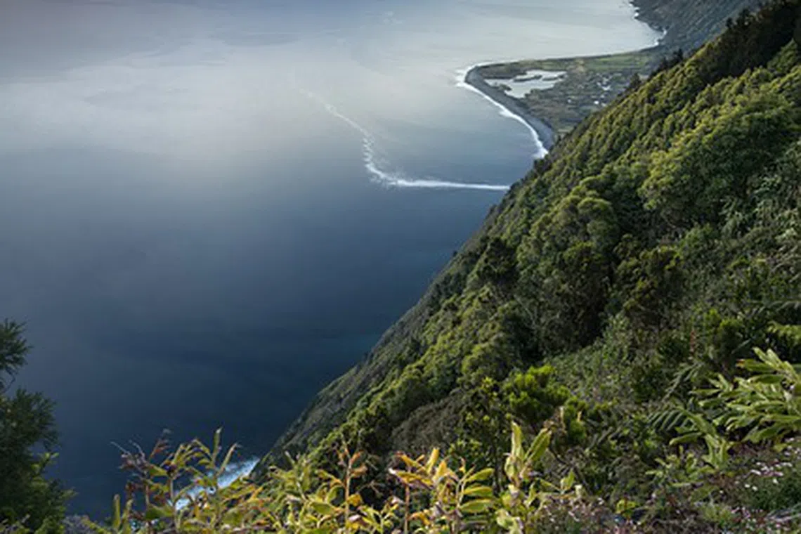 One of the key targets in the draft biodiversity pact is a commitment to protecting at least 30 per cent of land and water around the globe by 2030. 