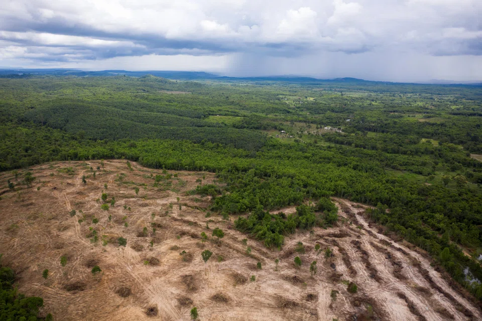 At this site near Phonhong in Laos, trees were cleared for development, July 2022.   
