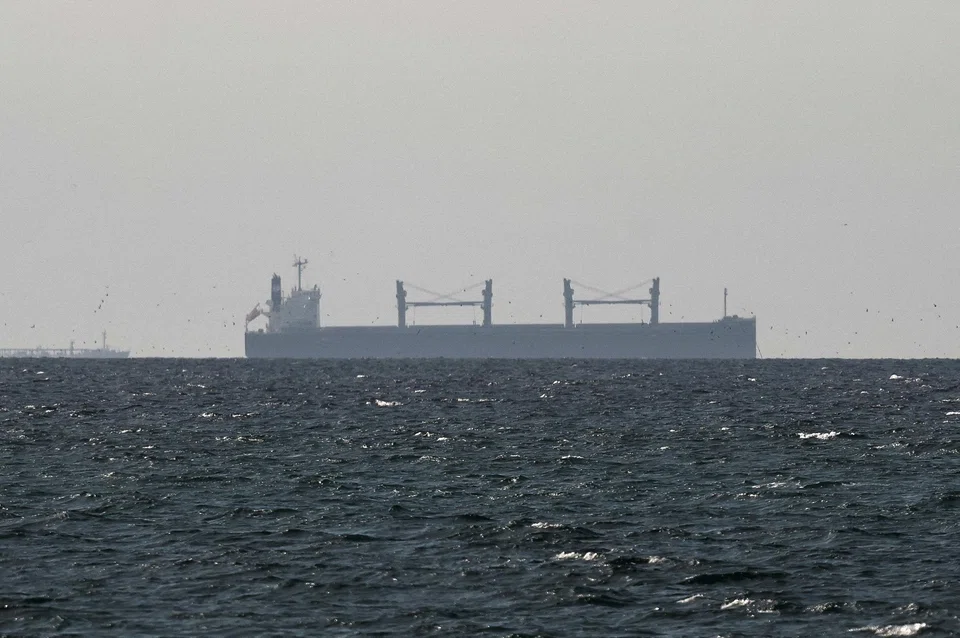 A cargo ship in the Gulf, near the Strait of Hormuz amid the US-Iran conflict with Iran, in United Arab Emirates, March 11, 2026. 