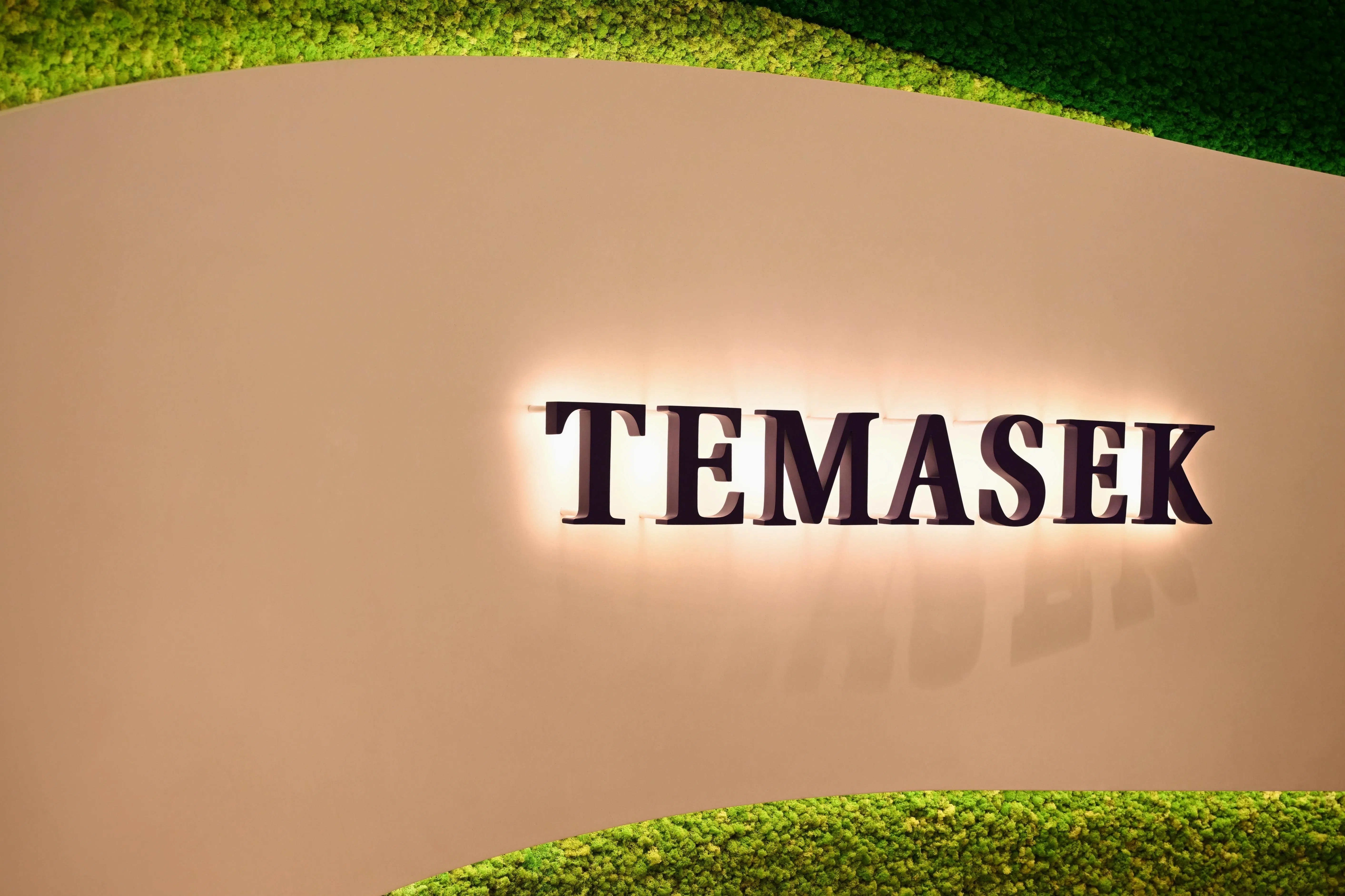 Don’t misinterpret Temasek as giving up on its net-zero ambition, say executives