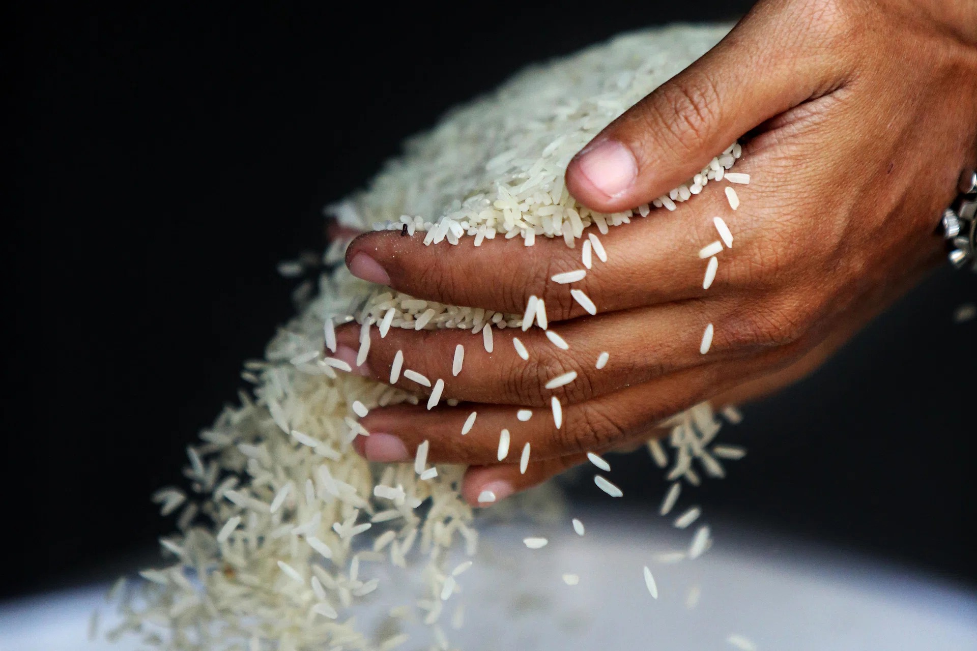 Singapore, Vietnam sign memorandum of cooperation on rice trade