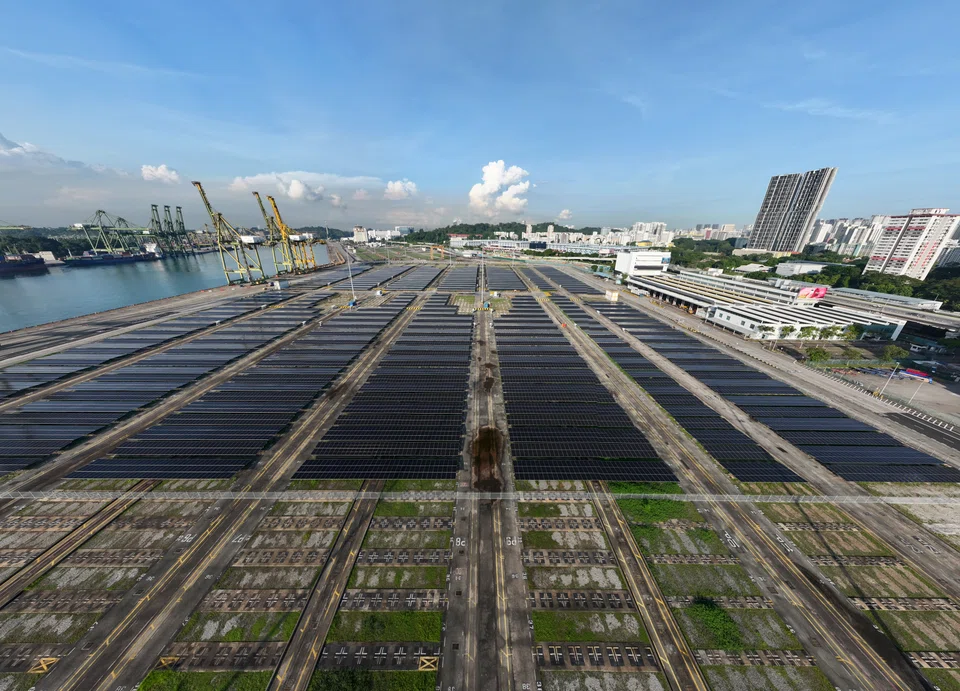 The solar farm is expected to produce around 22,500 megawatt hours of electricity annually.