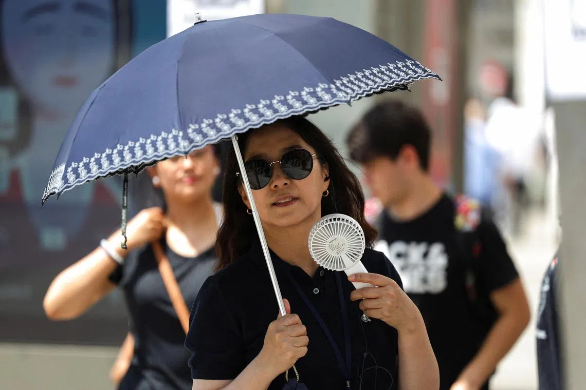 A woman protects herself with an umbrella during a heatwave in Madrid, Spain, August 5, 2025. REUTERS/Juan Medina
