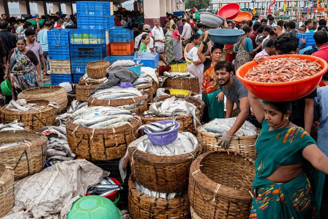 India's economy has momentum powered by internal consumption. This means more predictability and less exposure to headline-grabbing trade disruptions.