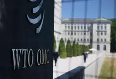 The WTO expects trade in goods to fall by 0.2 per cent this year, down from its expectation in October of 3.0 per cent expansion.