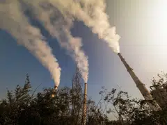 The report found that only 40 of the 100 private firms assessed had net zero targets, compared to 70 of 100 publicly-listed companies.