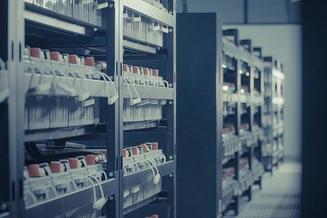 Major South-east Asian economies have 2.9 GW of data centre capacity in the pipeline, Ember notes.