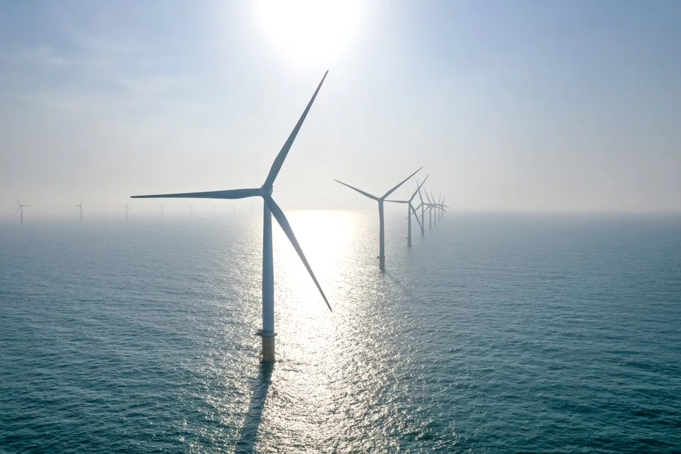 Countries like India and Brazil have optimal natural conditions, such as high solar irradiance and strong wind currents, which can make renewable projects highly productive. 