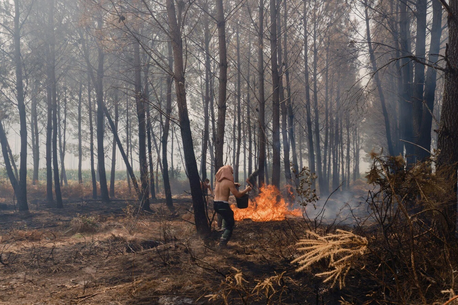 What happens when smoke gets in your wines