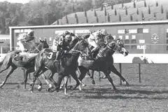 Horse racing in 1980 in Singapore.