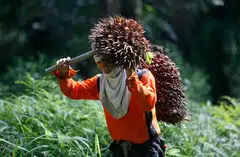 Malaysia said on Friday an increase in government revenue from rising commodity prices was insufficient to offset an expected spike in subsidy spending this year.