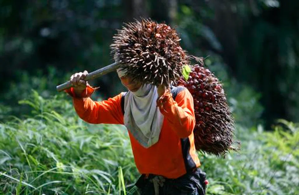 Malaysia said on Friday an increase in government revenue from rising commodity prices was insufficient to offset an expected spike in subsidy spending this year.