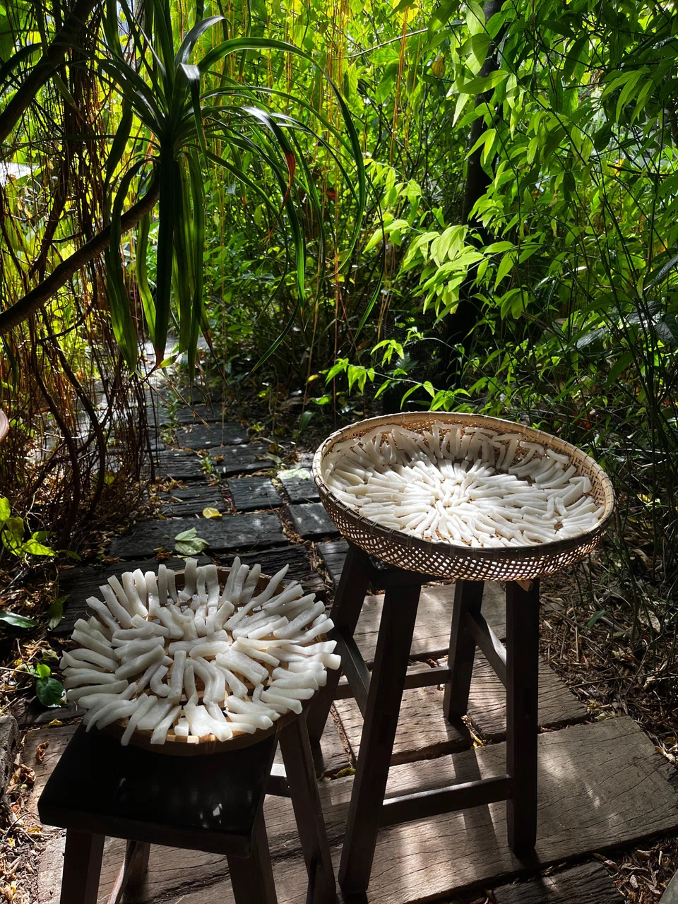 Sun-drying daikon.