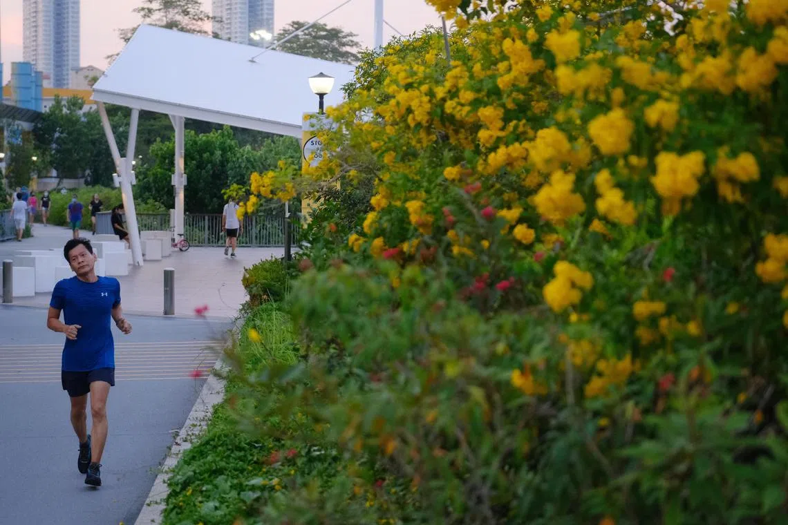 As we live longer, keeping physically fit and economically active become more important.