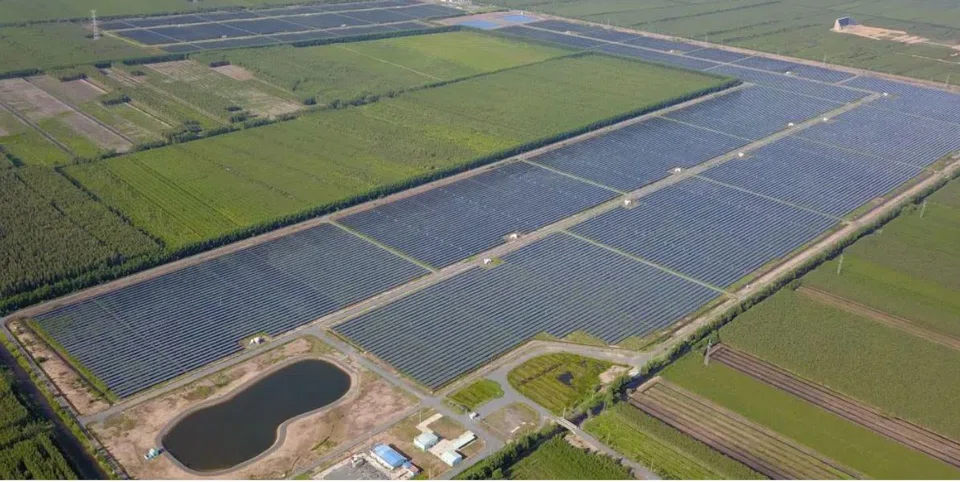 With a capacity of 100MWp, the Gaia solar farm in Long An province was Sembcorp's first utility-scale acquisition in Vietnam.