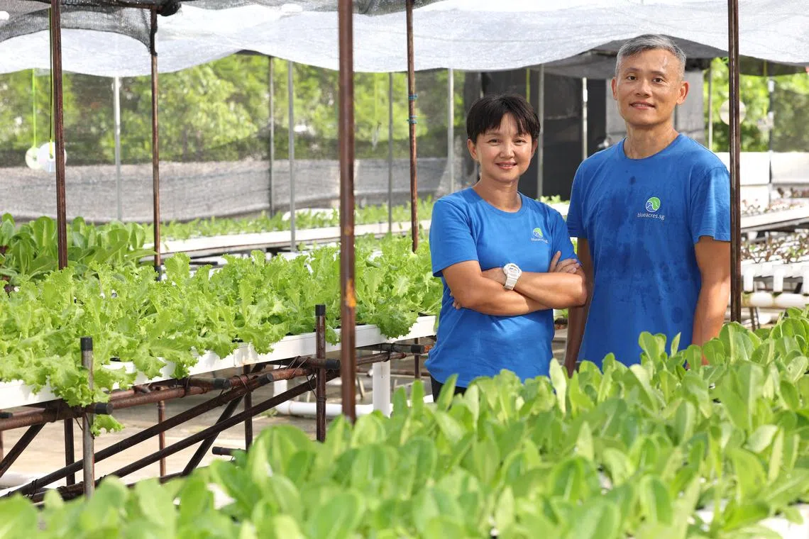 Ng Boon Ching (left) and Kee Boon Hian came together over an interest in two sides of the same coin.