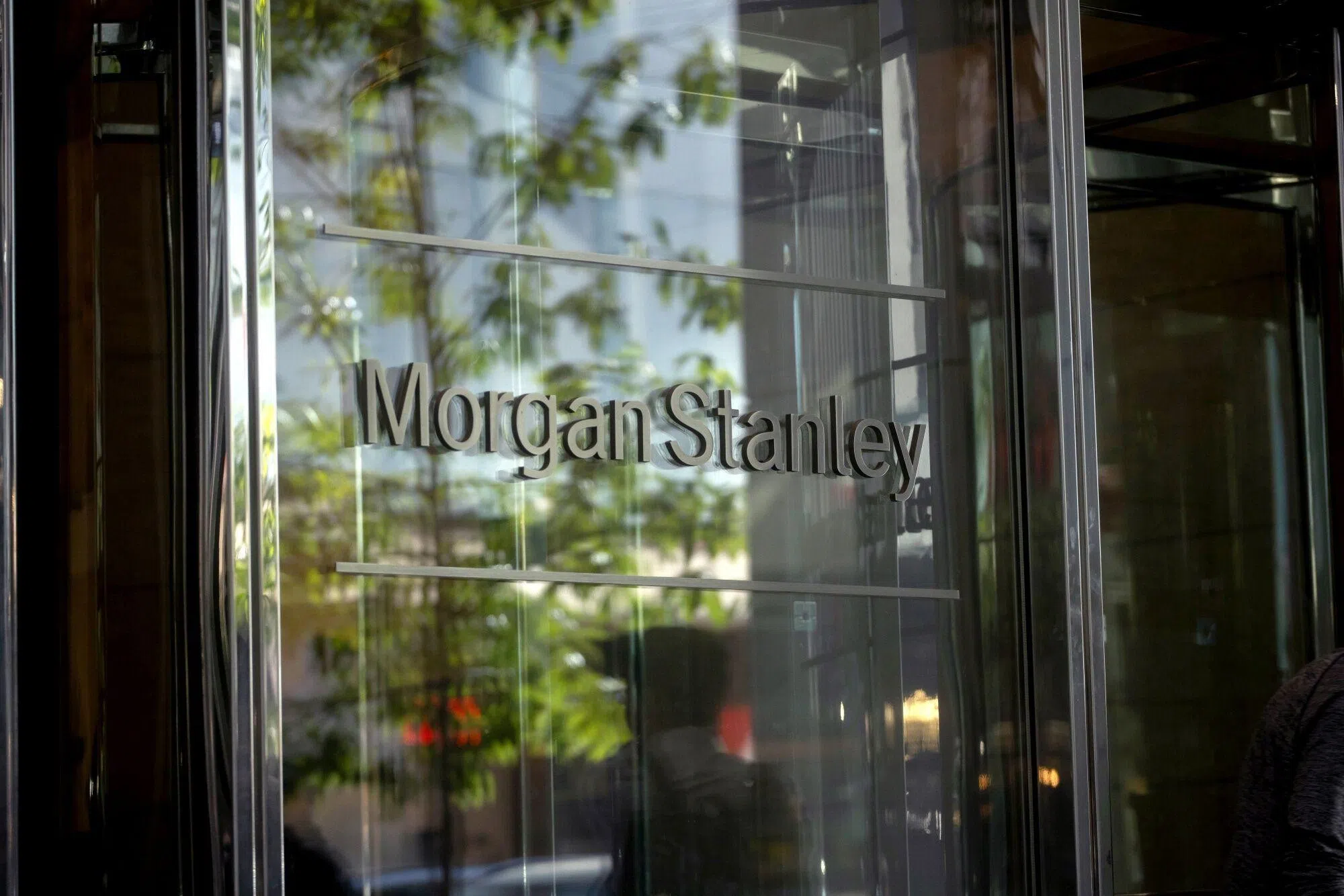 Morgan Stanley faces Finra probe on client-vetting: report - The Business  Times