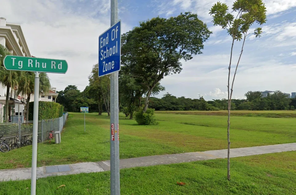 The Tanjong Rhu Road site is bound by road itself, as well as Singapore Swimming Club to the east, in an area with private and public housing developments.