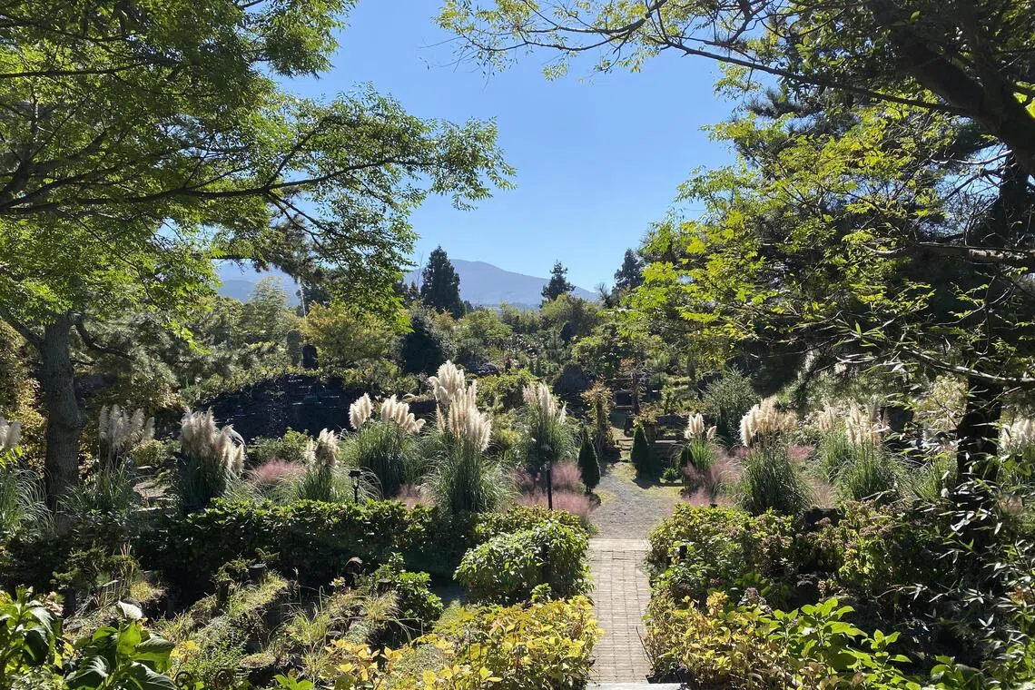 The mystical fairy garden at Mystic3 Cafe in Jeju city.