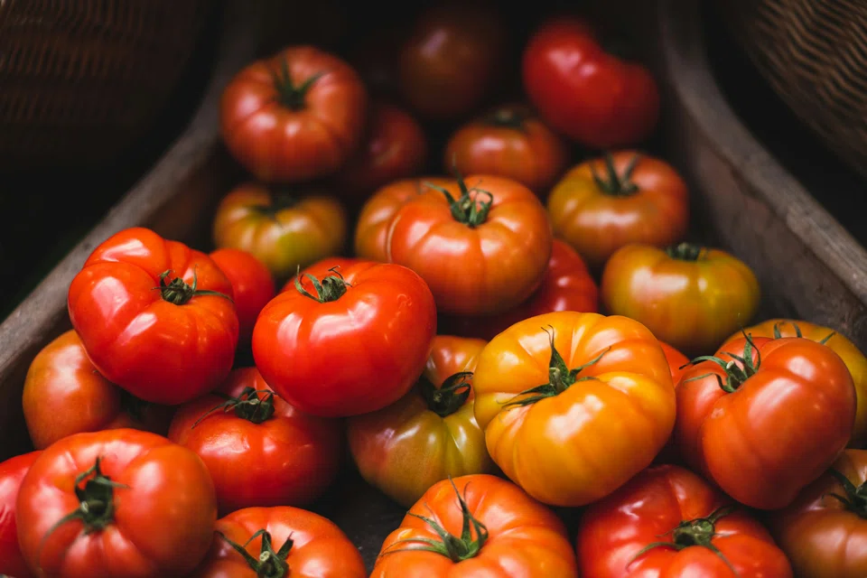 Biting into the perfect summer tomato can feel like ingesting an entire season in a mouthful. 