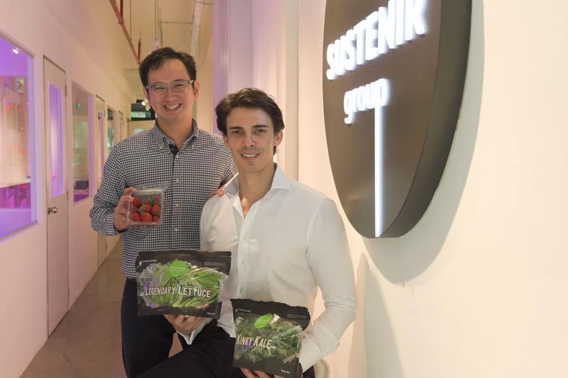 Sustenir sows the seeds of success