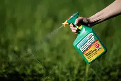 Bayer has long maintained that Roundup  weed killer and its active ingredient glyphosate are safe.