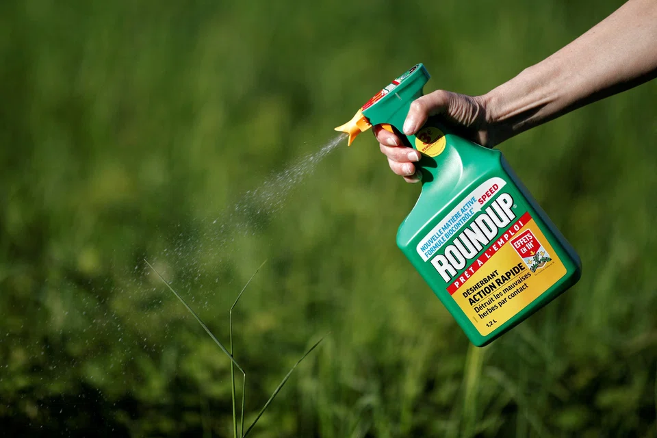 Bayer has long maintained that Roundup  weed killer and its active ingredient glyphosate are safe.