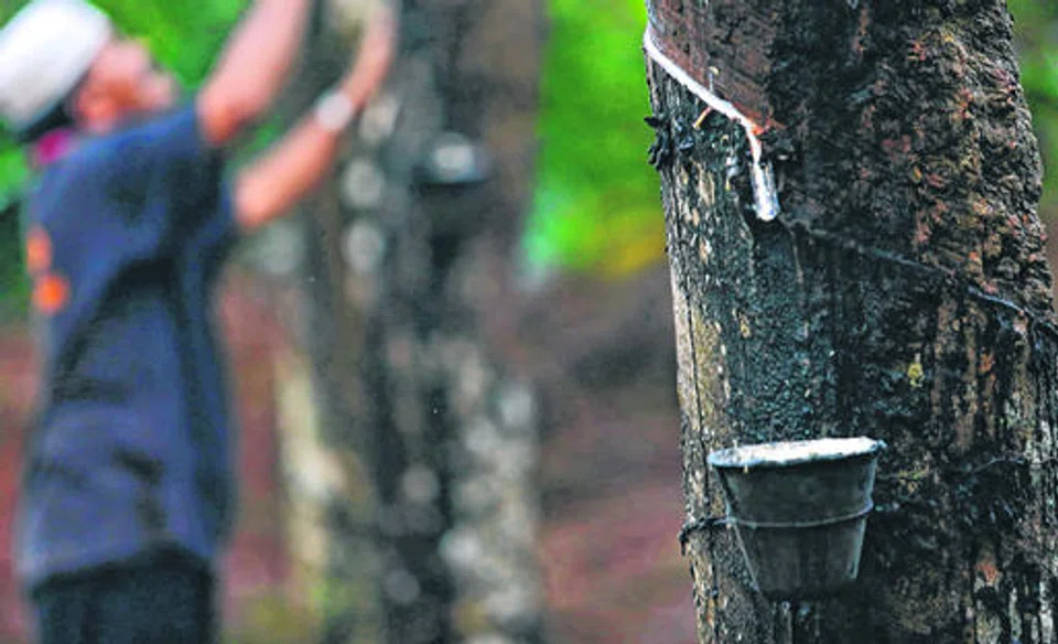 The group said the net profit was driven by the performance of natural rubber, which saw higher sales volume and average selling prices.