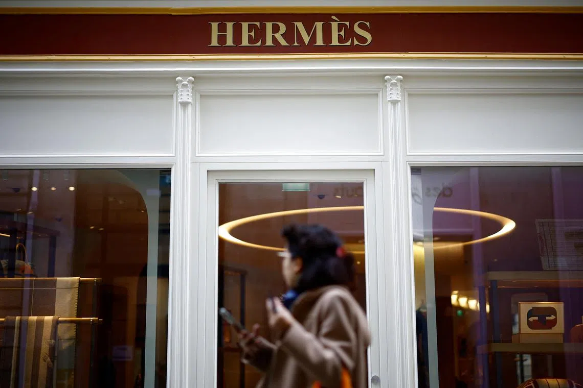 The Hermes fortune derives from its namesake firm Hermes International, known for selling pricey Birkin handbags. 