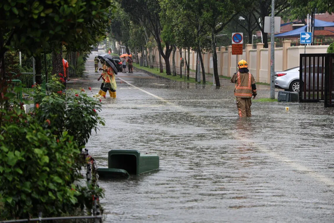 The national adaptation plan will involve a comprehensive review of Singapore’s adaptation measures in key domains such as heat resilience, coastal and flood resilience, as well as water and food resilience. 